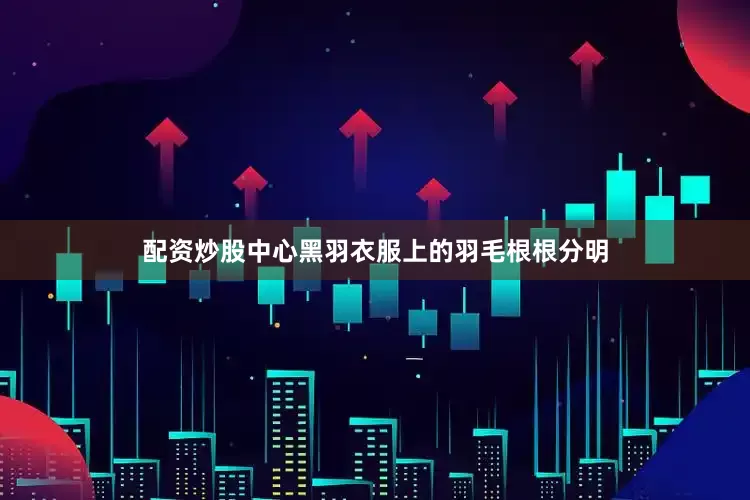 配资炒股中心黑羽衣服上的羽毛根根分明