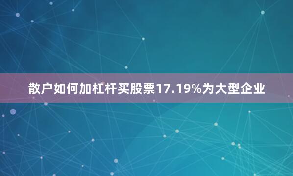 散户如何加杠杆买股票17.19%为大型企业