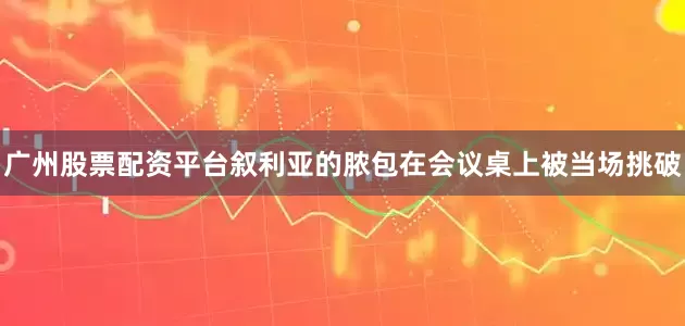 广州股票配资平台叙利亚的脓包在会议桌上被当场挑破