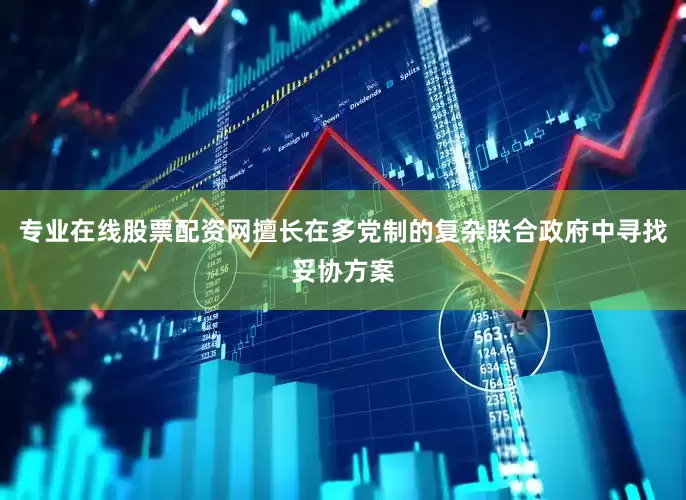 专业在线股票配资网擅长在多党制的复杂联合政府中寻找妥协方案