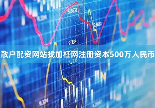 散户配资网站找加杠网注册资本500万人民币