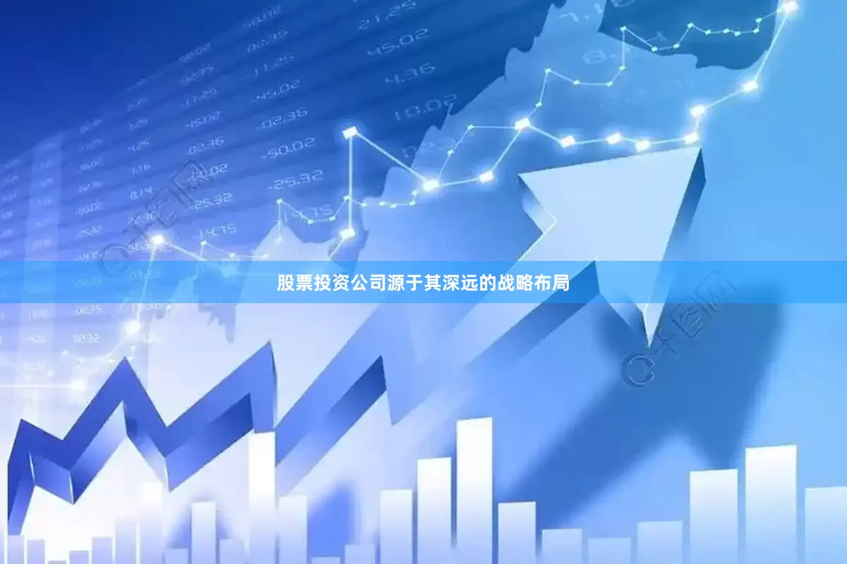 股票投资公司源于其深远的战略布局
