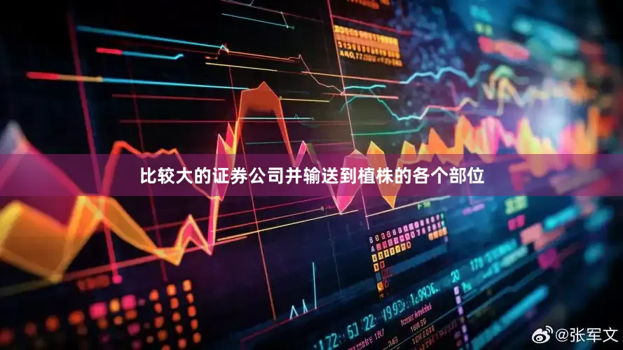比较大的证券公司并输送到植株的各个部位