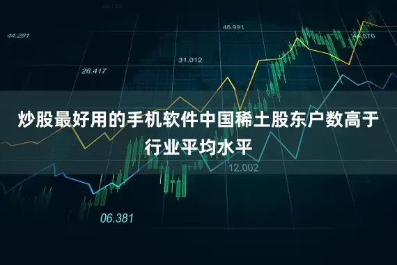 炒股最好用的手机软件中国稀土股东户数高于行业平均水平
